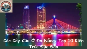 Các Cây Cầu Ở Đà Nẵng: Top 10 Kiến Trúc Độc Đáo