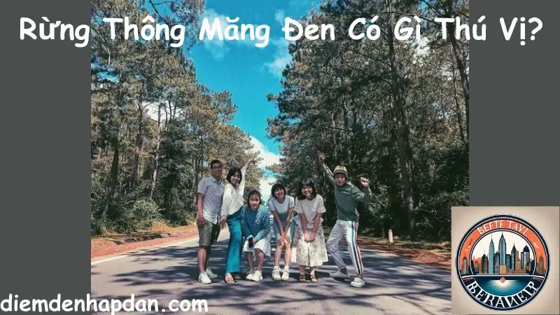 Rừng Thông Măng Đen Có Gì Thú Vị?