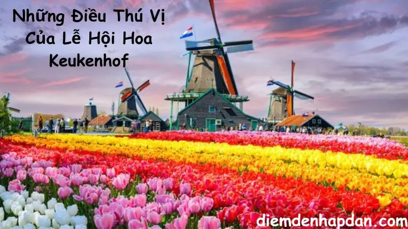 Những Điều Thú Vị Của Lễ Hội Hoa Keukenhof